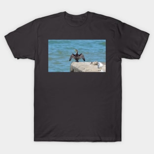 Double-Crested Cormorant With Its Wings Spread T-Shirt